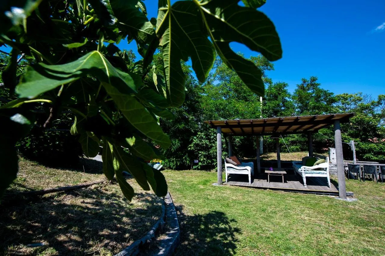 Daire 203 - Camera The Cherry House, Con Giardino E Piscina Carro